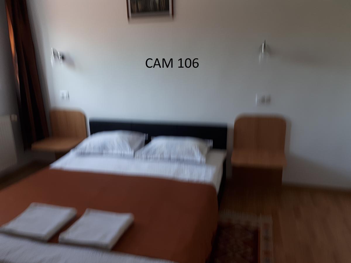 Gilău Casa Cioncaゲストハウス エクステリア 写真