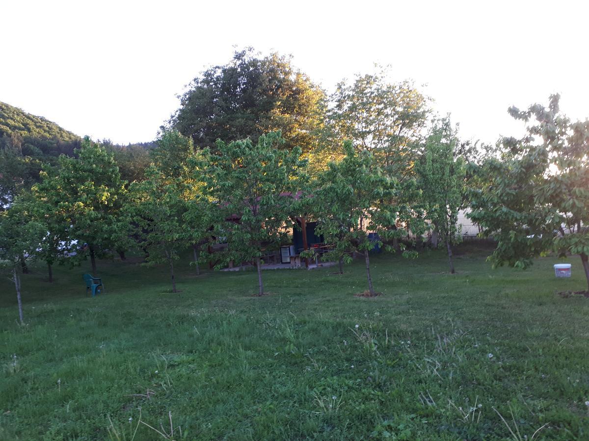 Gilău Casa Cioncaゲストハウス エクステリア 写真