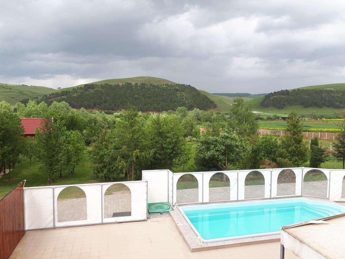 Gilău Casa Cioncaゲストハウス エクステリア 写真