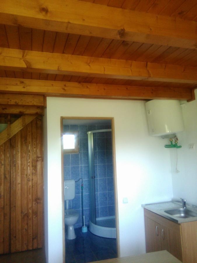 Gilău Casa Cioncaゲストハウス エクステリア 写真