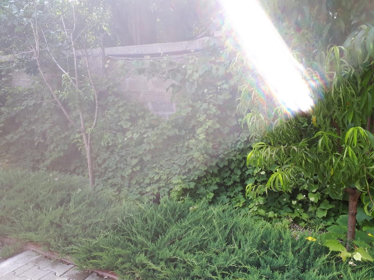 Gilău Casa Cioncaゲストハウス エクステリア 写真